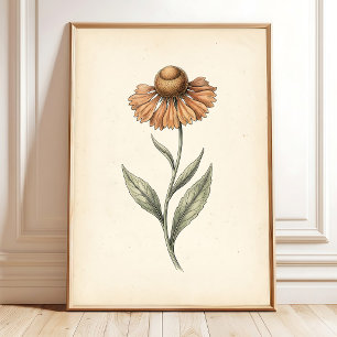 Vintage Sneezeweed Botanical Art Print