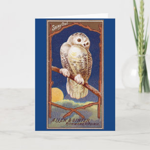 Vintage snow owl winter illustration blue white card