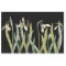 Vintage Snowdrop Flower Black Spring
