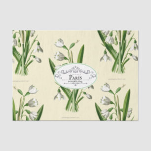 Vintage Snowdrop Oval Product Label Yellow Tissue Paper