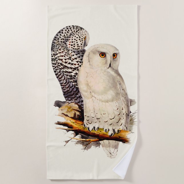 Vintage Snowy Owl Drawing Beach Towel (Front)