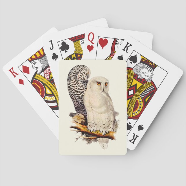 Vintage Snowy Owl Drawing Playing Cards (Back)