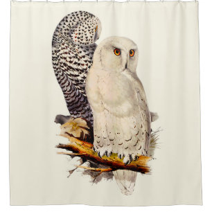 Vintage Snowy Owl Drawing Shower Curtain
