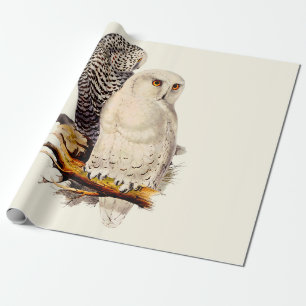 Vintage Snowy Owl Drawing Wrapping Paper
