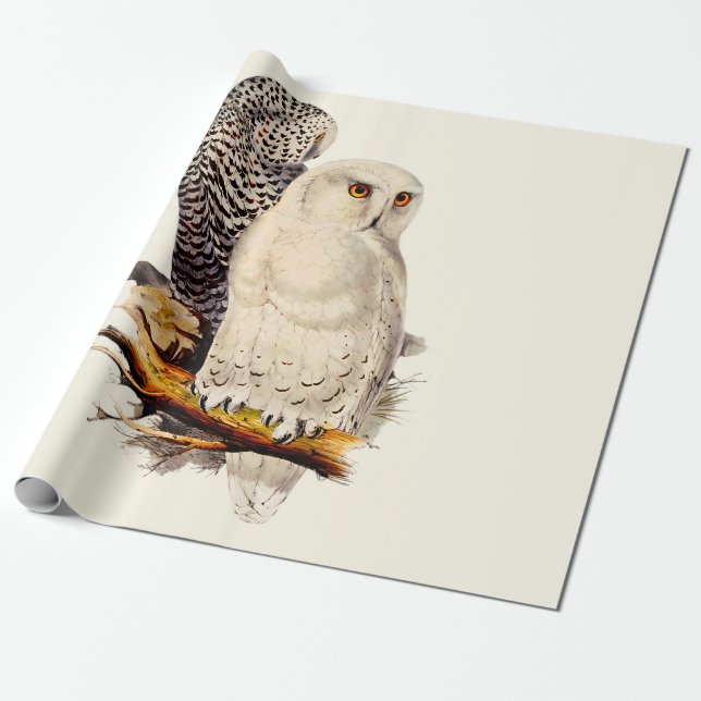 Vintage Snowy Owl Drawing Wrapping Paper (Unrolled)