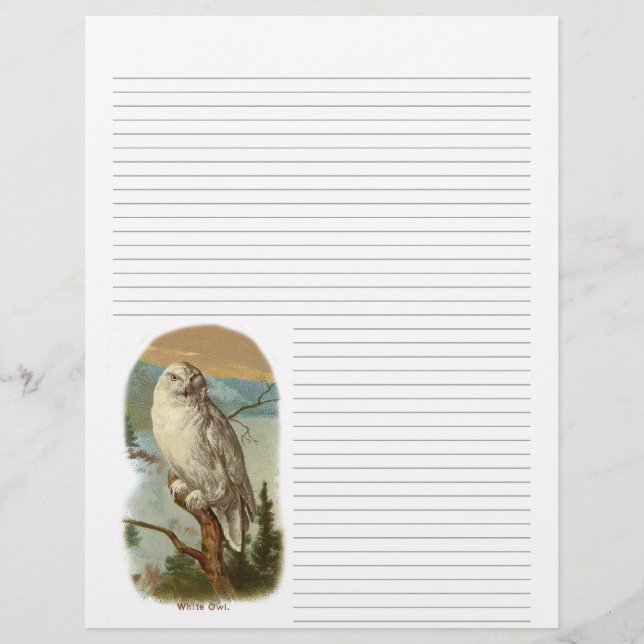 Vintage Snowy Owl Lined Letterhead (Front)