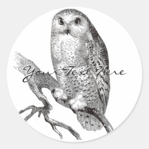 Vintage Snowy Owl Stickers