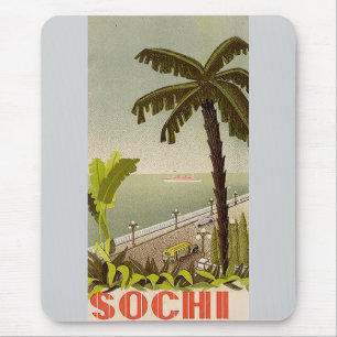 Vintage Sochi Marine Station Fine Art Travel Mouse Mat