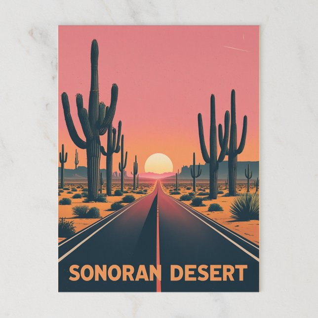Vintage Sonoran Desert Sunset Cactus Highway Postcard (Creator Uploaded)