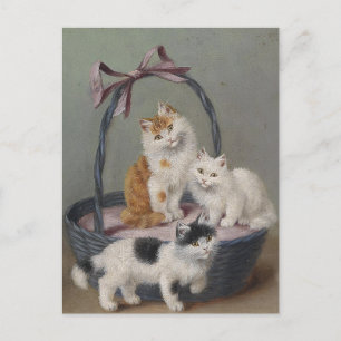 Vintage Sophie Sperlich Cats in a basket Postcard