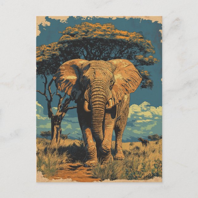 Vintage South Africa Elefant Postcard (Front)