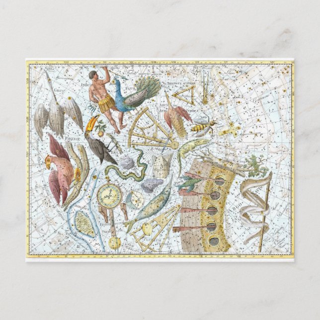 Vintage Southern Sky Constellations Celestial Map Postcard (Front)