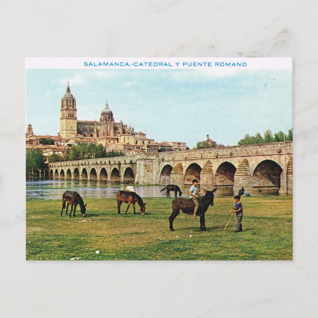 Vintage Spain,  Salamanca, Cathedral Postcard (Front)