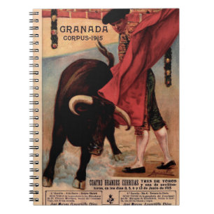 Vintage spanish bull fight notebook