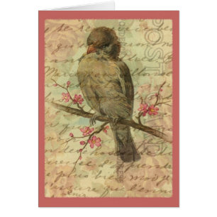Vintage Sparrow