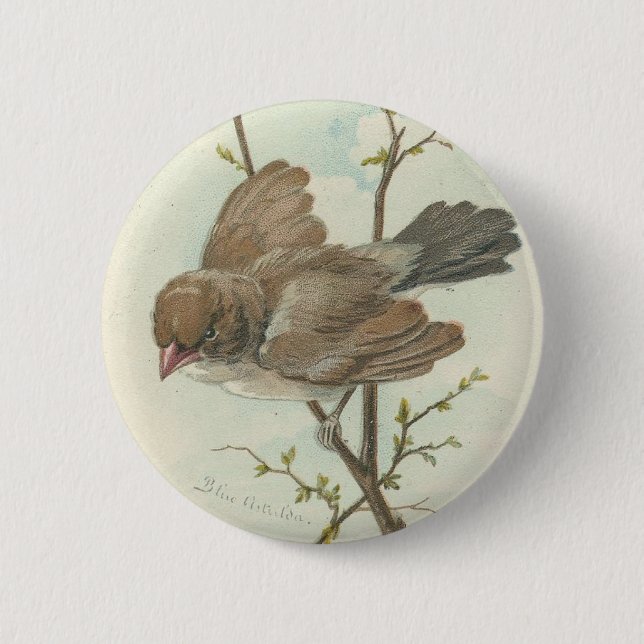 Vintage Sparrow 6 Cm Round Badge (Front)