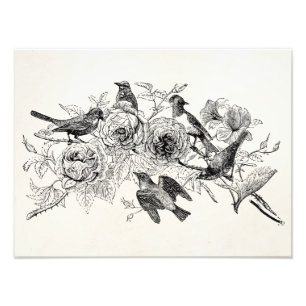Vintage Sparrow Birds Personalised Sparrows Bird Photo Print
