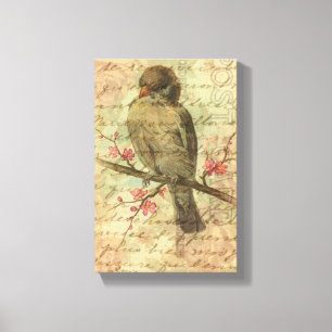 Vintage Sparrow Canvas Print