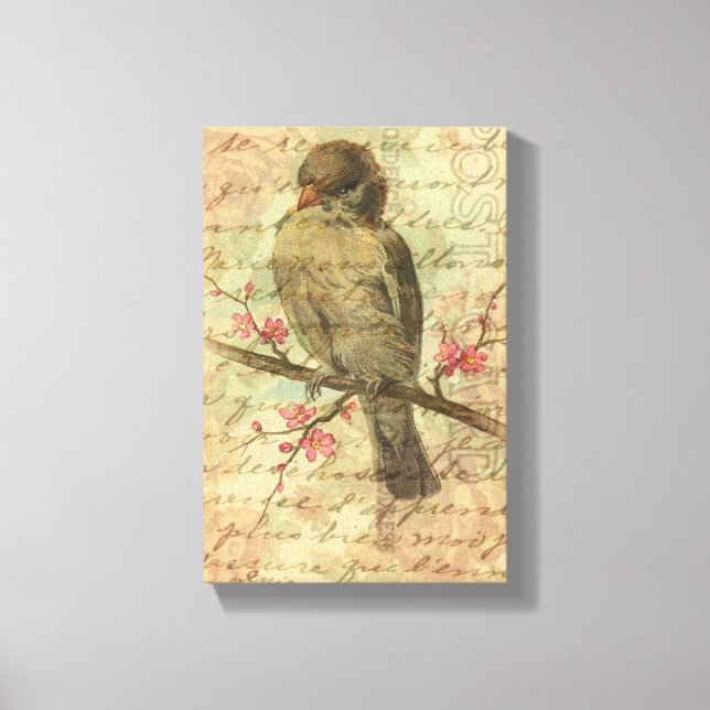Vintage Sparrow Canvas Print (Front)