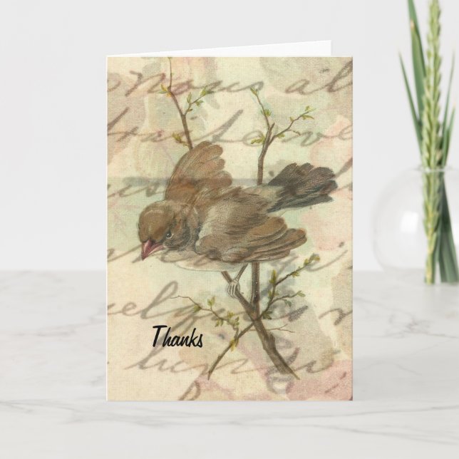 Vintage Sparrow Thanks Thank You Card (Front)