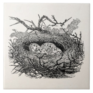 Vintage Speckled Eggs Bird Nest Personalised Birds Tile