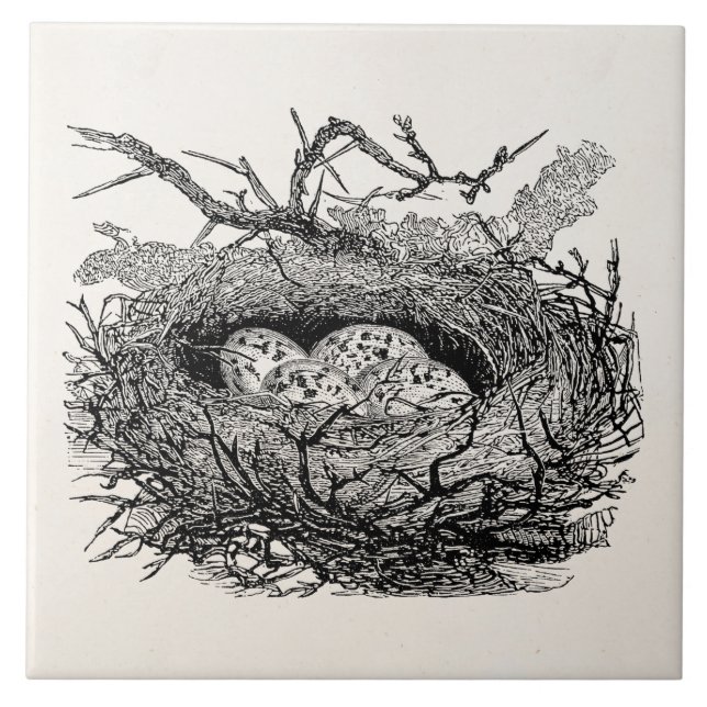 Vintage Speckled Eggs Bird Nest Personalised Birds Tile (Front)