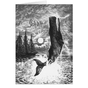 Vintage Sperm Whale Breaching, Marine Life Animals
