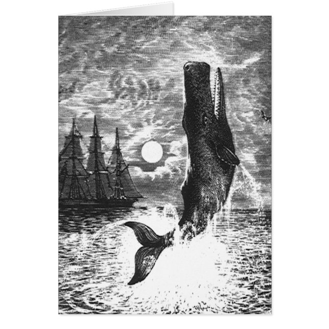 Vintage Sperm Whale Breaching, Marine Life Animals (Front)