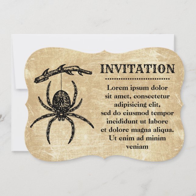 Vintage Spider Hanging From Branch Invitation (Front)