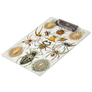 Vintage Spiders or Arachnids by Ernst Haeckel Clipboard