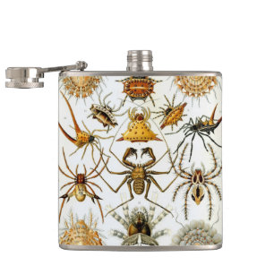 Vintage Spiders or Arachnids by Ernst Haeckel Hip Flask
