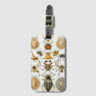 Vintage Spiders or Arachnids by Ernst Haeckel Luggage Tag
