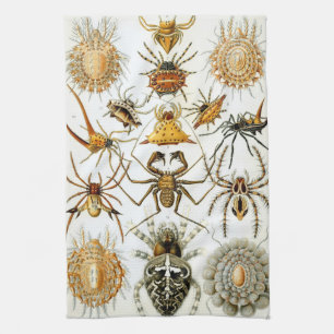 Vintage Spiders or Arachnids by Ernst Haeckel Tea Towel