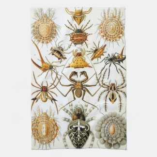 Vintage Spiders or Arachnids by Ernst Haeckel Tea Towel