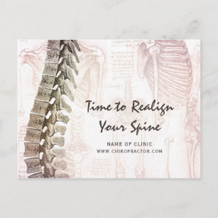 Vintage Spine Chiropractor Appointment Reminder Postcard
