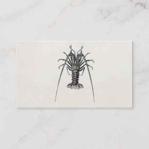 Vintage Spiny Lobster Personalised Template Business Card