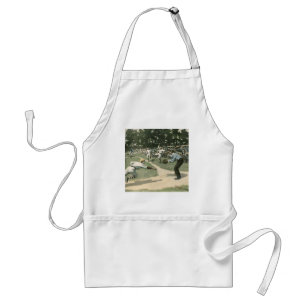 Vintage Sports, Baseball Player Sliding into Home Standard Apron