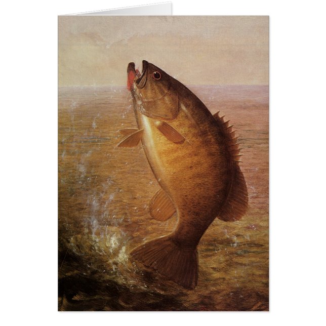 Vintage Sports Fishing, Largemouth Brown Bass Fish (Front)