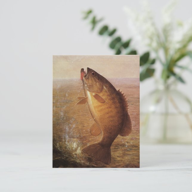 Vintage Sports Fishing, Largemouth Brown Bass Fish (Standing Front)