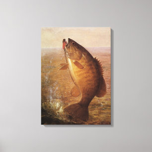 Vintage Sports Fishing, Largemouth Brown Bass Fish Canvas Print