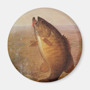 Vintage Sports Fishing, Largemouth Brown Bass Fish Magnet