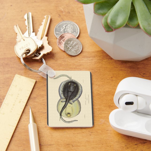 Vintage Spotted Stingrays, Marine Ocean Animals Key Ring (Desk)