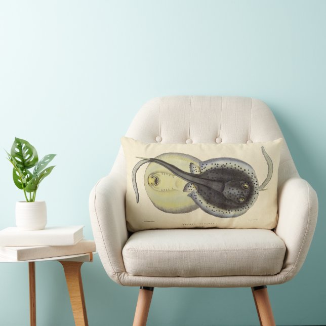 Vintage Spotted Stingrays, Marine Ocean Animals Lumbar Cushion (Chair)