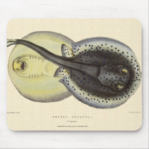 Vintage Spotted Stingrays, Marine Ocean Animals Mouse Mat