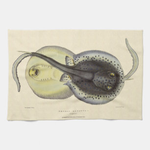 Vintage Spotted Stingrays, Marine Ocean Animals Tea Towel