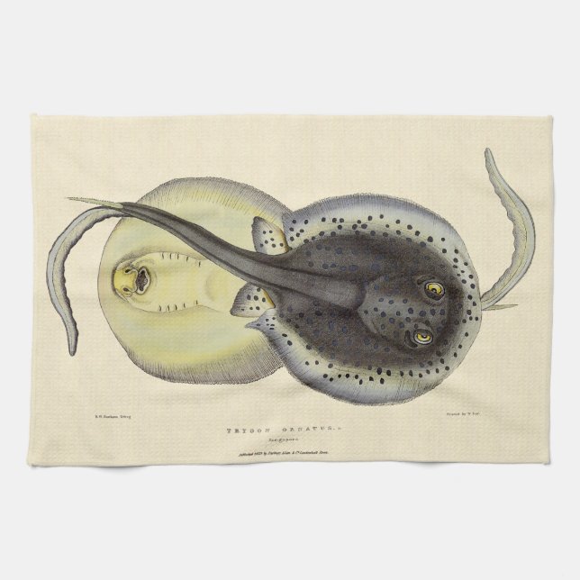 Vintage Spotted Stingrays, Marine Ocean Animals Tea Towel (Horizontal)