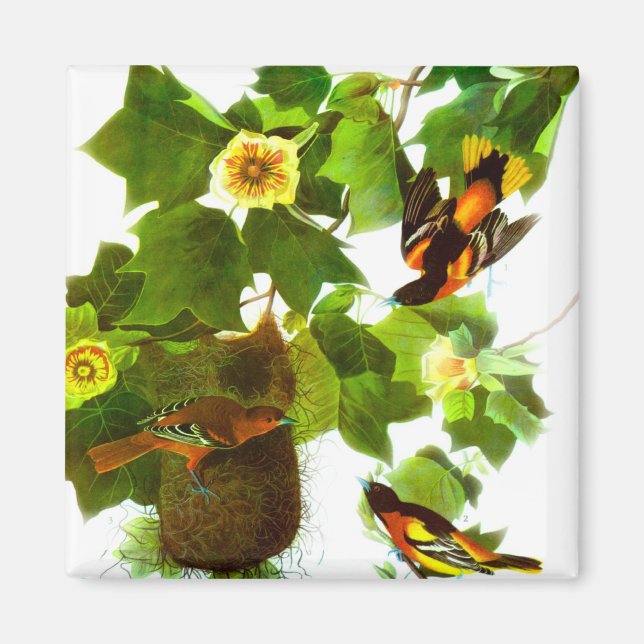 Vintage Spring Day Birds & Flowers Magnet (Front)
