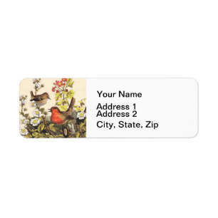 Vintage Spring Robin Songbirds Botanical Floral