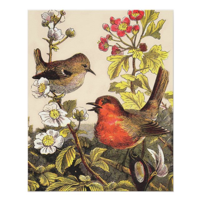 Vintage Spring Robin Songbirds Botanical Floral Poster (Front)