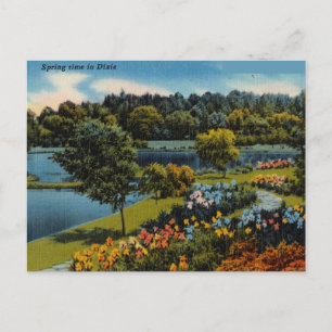 Vintage Spring Time In Dixie Postcard